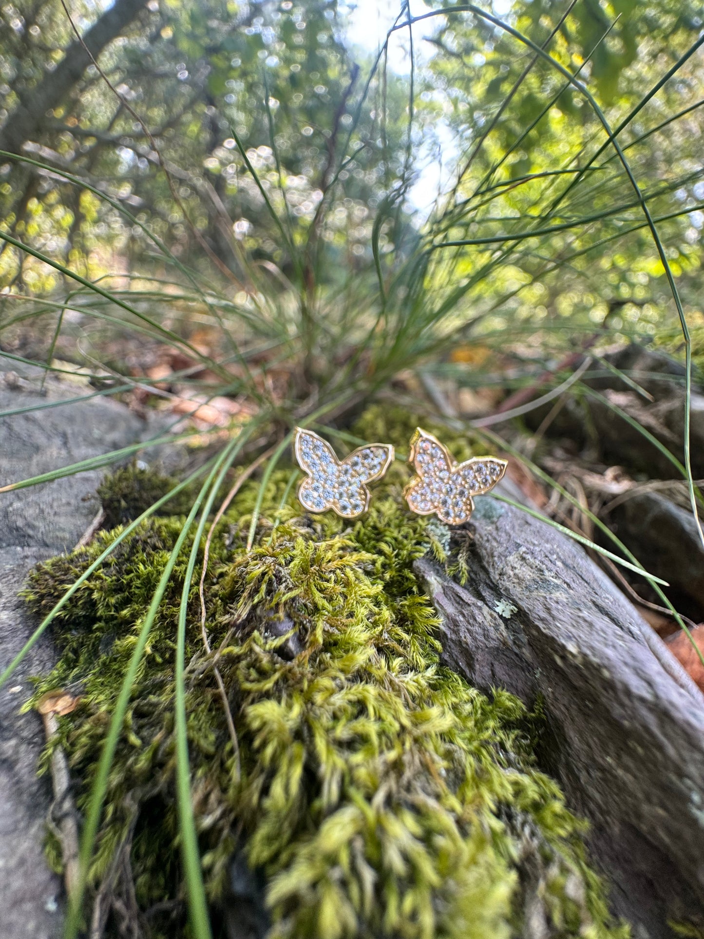 BRINCOS