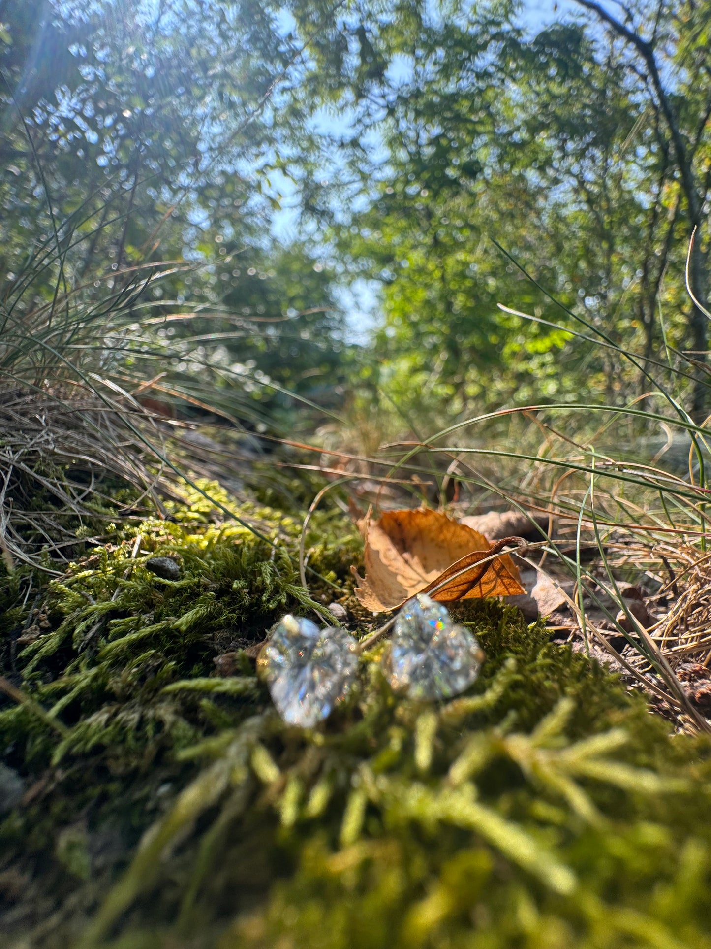 BRINCOS